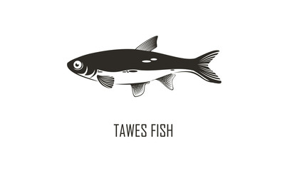 Fish logo design 