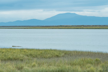 dense green grasses filled river bank at low tide with heavy thick cloud above mountain range the horizon