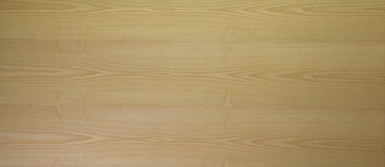 Naklejka premium Light natural oak wooden panel background texture