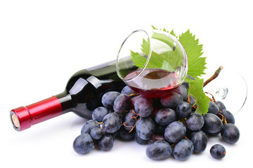 A bottle of wine on a white background