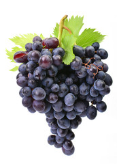 Fototapeta premium Grapes on a white background