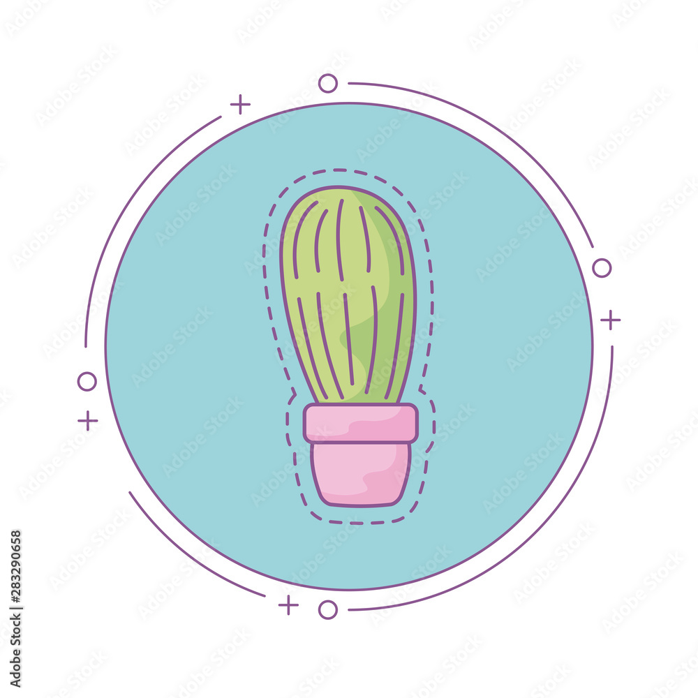 Poster patch of cactus in pot plant with frame circular