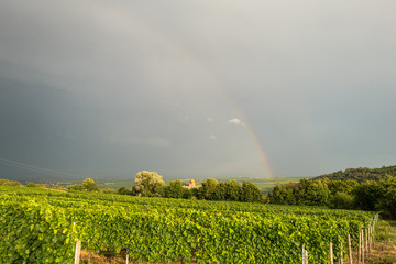 regenbogen über neuleiningen