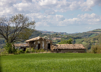 Landscape of Marche