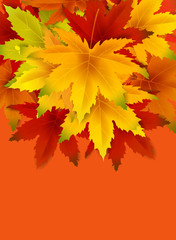 Fototapeta na wymiar Autumn Background Template, with falling bunch of leaves, shopping sale or seasonal poster
