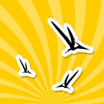 Dinosaur pterodactyl. Pterodactyls silhouette on sunset background