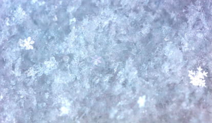 crystals of snow, winter photo