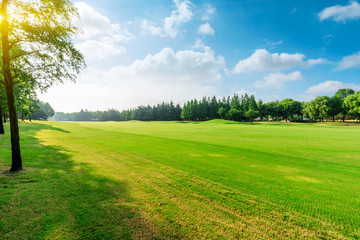 Green grass and blue sky with white clouds in summer season