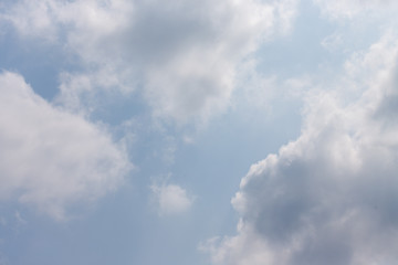 東京都神代植物公園の7月の空