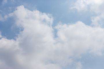 東京都神代植物公園の7月の空