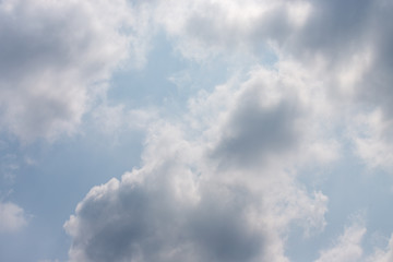 東京都神代植物公園の7月の空