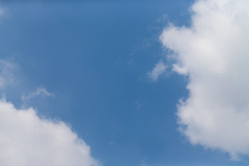 東京都神代植物公園の7月の空