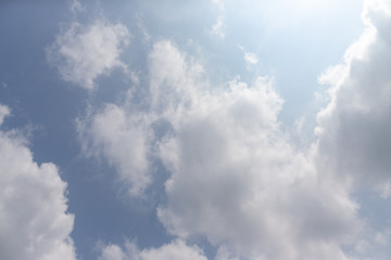 東京都神代植物公園の7月の空