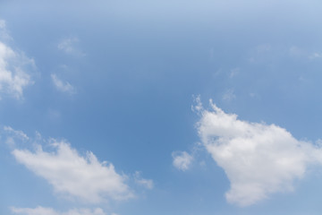 東京都神代植物公園の7月の空