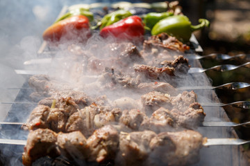 Cooking kebab on a metal skewer and grilled vegetables. Grilled meat and vegetables. Picnic, street food.