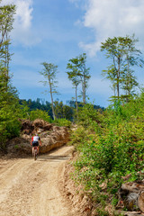 Beautiful dirt mountain trail on a sunny day, blue sky and man riding mountain bike in distance