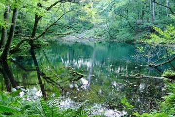 Fototapeta premium 《十二湖の四季》青森県深浦町