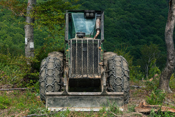 Skidder tractor with heavy chains on tires in lush forest