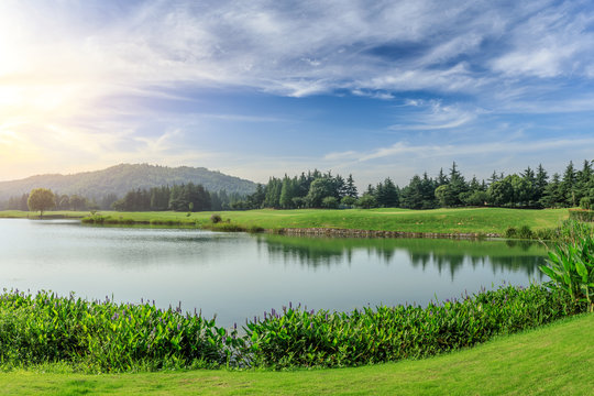 Green grass and woods with lake under blue sky
