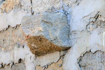 Rock animal head sculpture