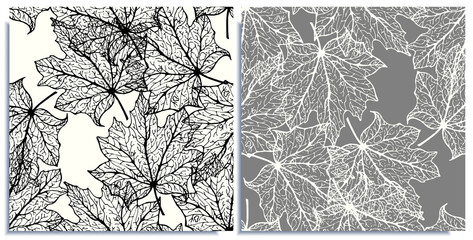 Vector set of seamless patterns with wonderful outline falling and flying maple leafs, hand-drawn in graphic and real-style at the same time. Graphic colors: black, white, gray. Good cloth ornament