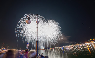 fireworks in a summer day night