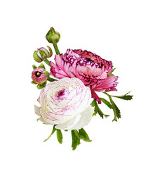 Ranunculus flowers, leaves and buds in a floral arrangement