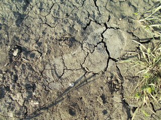  Sandy background for design.