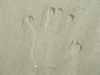  Sandy background for design.