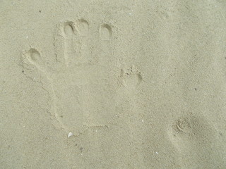  Sandy background for design.