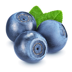 Bilberry with leaves isolated on white