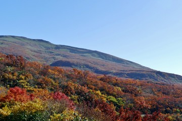 Naklejka premium 《鳥海山の紅葉》秋田県
