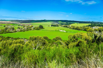 The fields and meadows