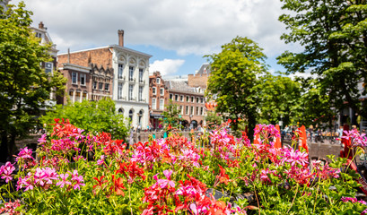 Utrecht Netherlands. Flowers blooming, blur buildings background, sunny spring day