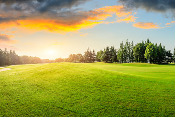 Green grass and forest with beautiful clouds at sunset