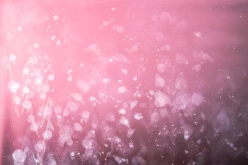 Abstract Pink bokeh Dust Explosion Background