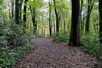 《十二湖の紅葉》青森県深浦町