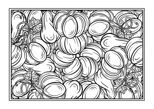 Black and white autumn ornament. Pumpkins and autumn leaves coloring page