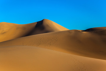 Fototapeta na wymiar Dunes illuminated by orange sunset