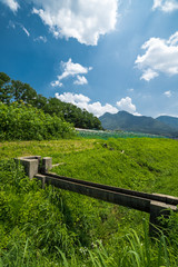 兵庫県　ひまわりと夏の原風景