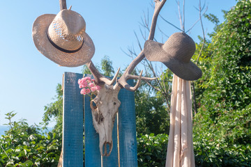 Hanger made of deer horns. Boho style