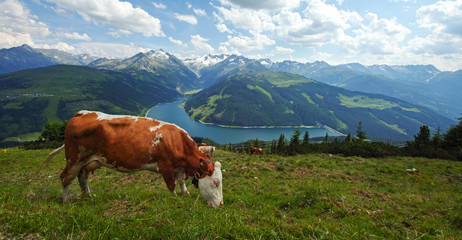 Fototapeta na wymiar Lake Durlassboden, in Gerlos, Austria