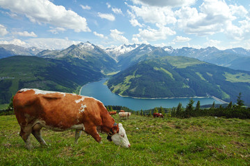 Fototapeta na wymiar Lake Durlassboden, in Gerlos, Austria