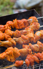 cooking kebab (shashlik, bbq) on skewers; smoke