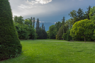 Trees in the city park Stadtpark, a green island in the middle of the city, in Graz, Styria region, Austria. 