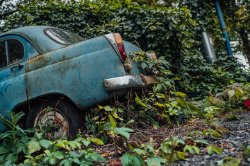The old abandoned car was overgrown with vegetation