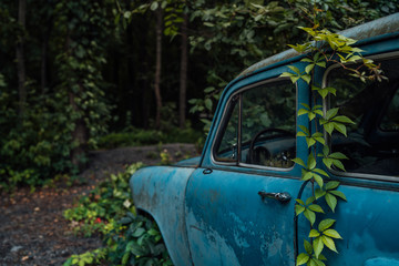 The old abandoned car was overgrown with vegetation