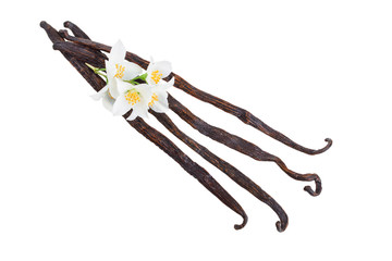 Vanilla sticks with flower isolated on white background. Top view. Flat lay