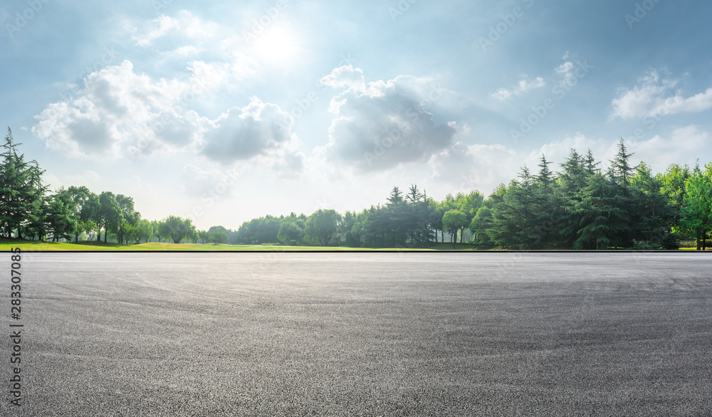 Wall mural asphalt race track and green woods nature landscape in summer