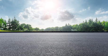 Country asphalt road and green woods nature landscape in summer - obrazy, fototapety, plakaty